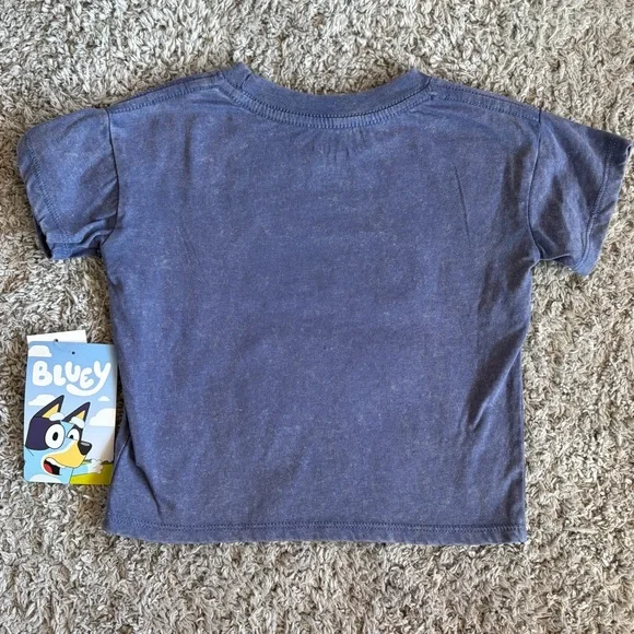 ✨$5✨NWT•Bluey & Bingo Toddler Short Sleeve Tee | Gray Blue |  5T - Picture 4 of 5